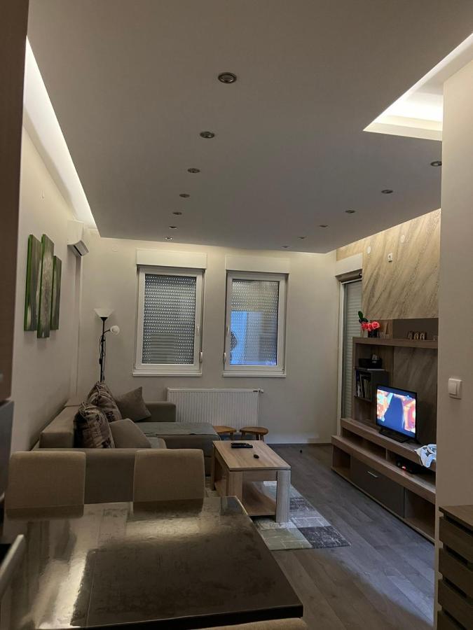 Apartment Dana Баня-Ковиляча Екстер'єр фото