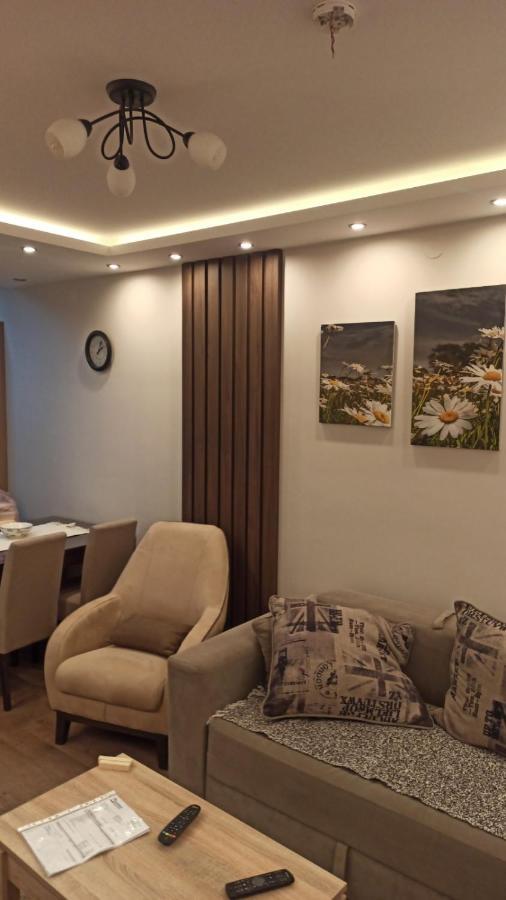 Apartment Dana Баня-Ковиляча Екстер'єр фото