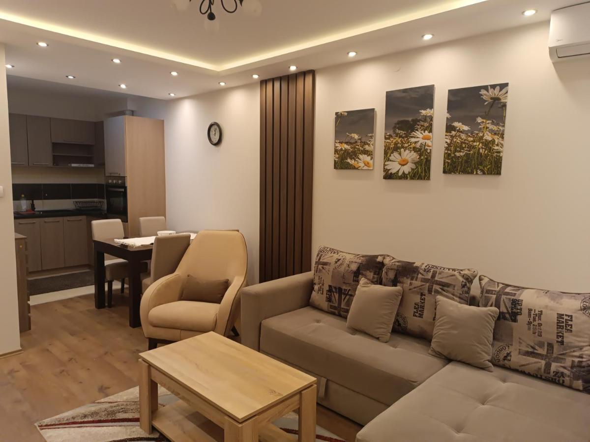 Apartment Dana Баня-Ковиляча Екстер'єр фото
