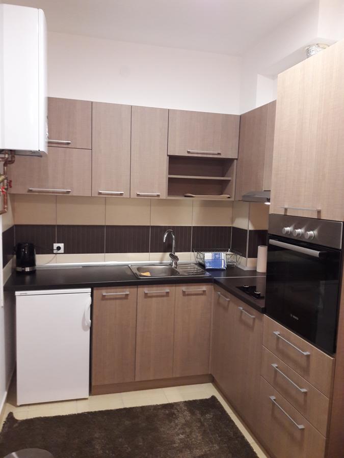 Apartment Dana Баня-Ковиляча Екстер'єр фото