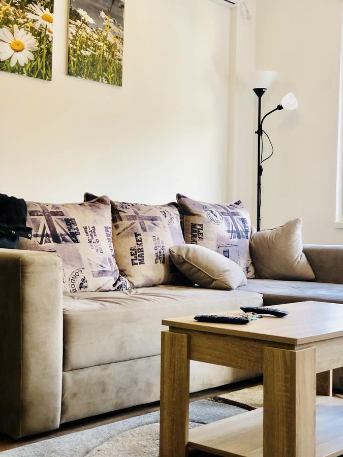 Apartment Dana Баня-Ковиляча Екстер'єр фото